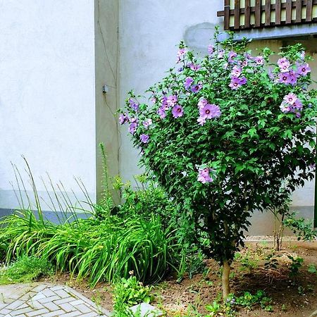 Room In City Center Halle With Shared Bathroom & Kitchen - Free Wifi, Netflix, Ipad & Ground Floor Extérieur photo